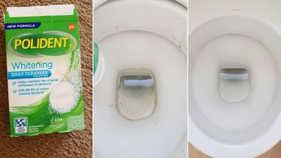 Toilet bowl - before and after