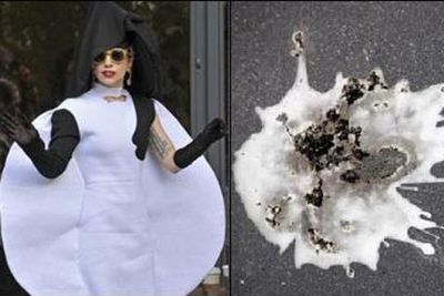 Black and white and kinda circular. There's nothing separating Gaga from bird poop. <p><b>Image</b>: totallylookslike.com