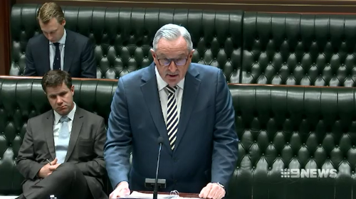 Health Minister Brad Hazzard has called for reforms to the current abortion bill which sees it as a criminal act.