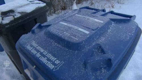 Canadian teen charged after dumping toddler in bin in sub-zero conditions