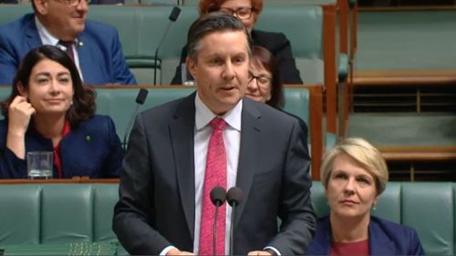 In parliament, Shadow Energy Minister Mark Butler immediately signalled Labor's plan to lift the emissions target to 45 percent.