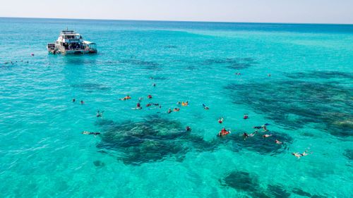 Snorkelling at Upolo Cay, part of the Great Barrier Reef