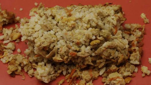 Nutraloaf, the concoction of leftovers that prison advocates argue is cruel and unusual punishment. (AAP)