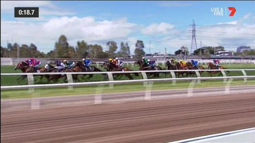 The Melbourne Cup is the race that stops a nation.