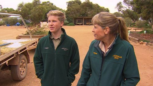 Terri and Robert Irwin were thrilled with the way Scarlett adapted straight away. Picture: 9News