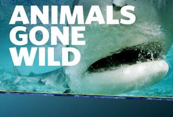 Animals Gone Wild TV Show - Australian TV Guide - 9Entertainment