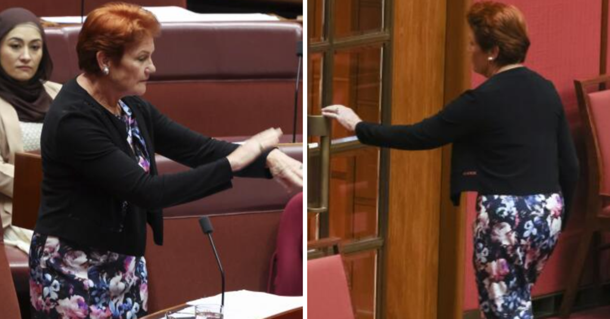 Pauline Hanson slaps wrist and storms out of parliament over censure