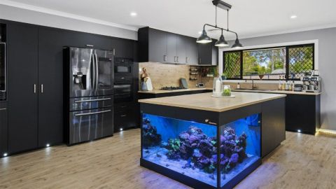 Wild detail kitchen aquarium home sold Domain 