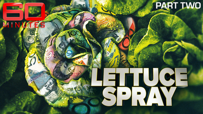 Lettuce Spray: Part two