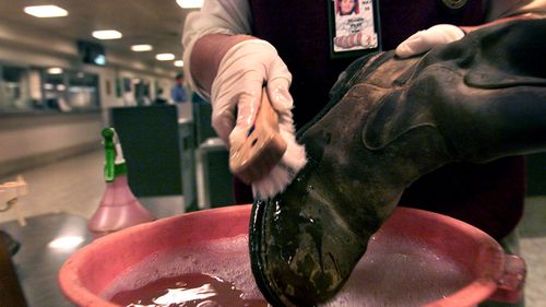 A suspect pair of boots is scrubbed and sterilised at The Quarantine section in Tullamarine Airport 