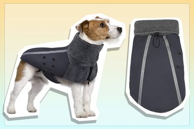 9PR: SlowTon Winter Dog Coat, Medium, Grey