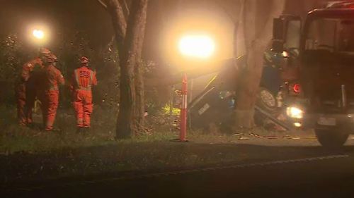 Man dies after car hits tree in Victoria
