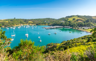 Hike or vineyard hop around lush Waiheke Island.