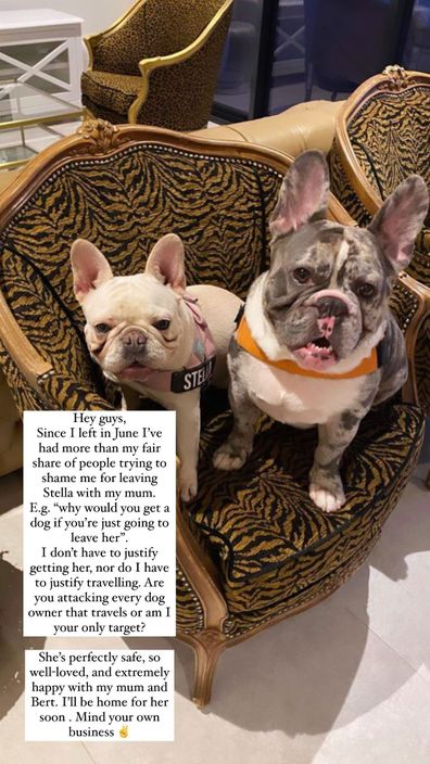 Olivia Frazer MAFS shamed holiday dogs stella