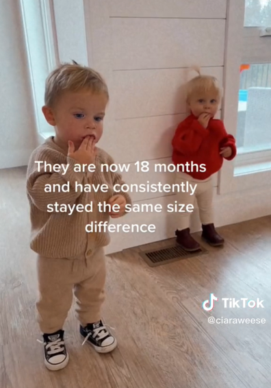 twins born with key size difference TikTok