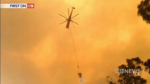 Firefighters in action. (9NEWS)