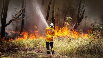 A New South Wales (NSW) Rural Fire Service volunteer douses a fire during back-burning operations in bushland near the town of Kulnura, New South Wales, Australia, on Thursday, Dec. 12, 2019. The smoke blanketing Sydney is a public health emergency, according to a coalition of Australian doctors and researchers who say climate change has helped fuel the wildfires that have produced unprecedented haze. Photographer: David Gray/Bloomberg