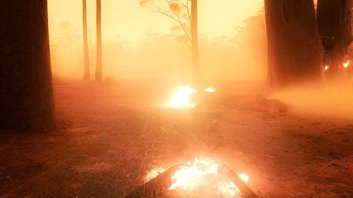 Sam Markham took this image after a firestorm tore through his south coast property.