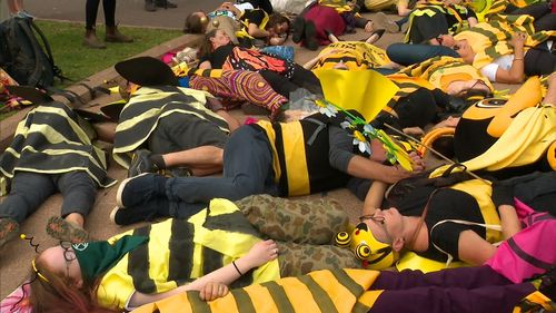 Dozens of "dead bees" are blocking busy city thoroughfares in Sydney with a large police presence and many arrests already being made.