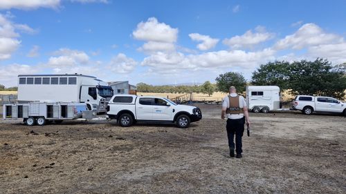 Os inspetores da RSPCA Victoria descobriram os animais durante uma verificação de conformidade.