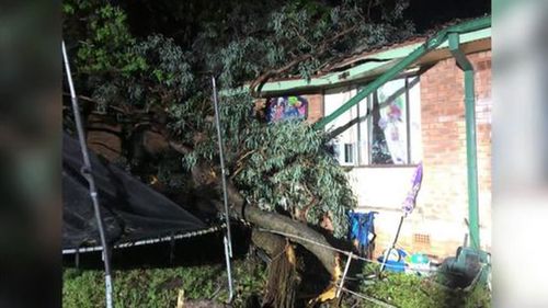 Heavy rainfall caused a tree to crash through the roof of a home in Doonside.