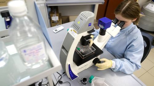 A scientist looks through a microscope in a university laboratory.