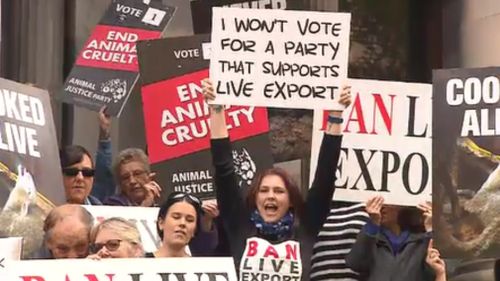 Thousands of people across the nation rallied against live exportation. (9NEWS)