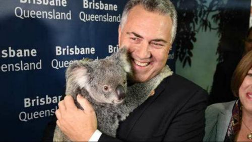 G20 afternoon update: Joe Hockey gets cuddly with Kim K's koala, while protesters turn green