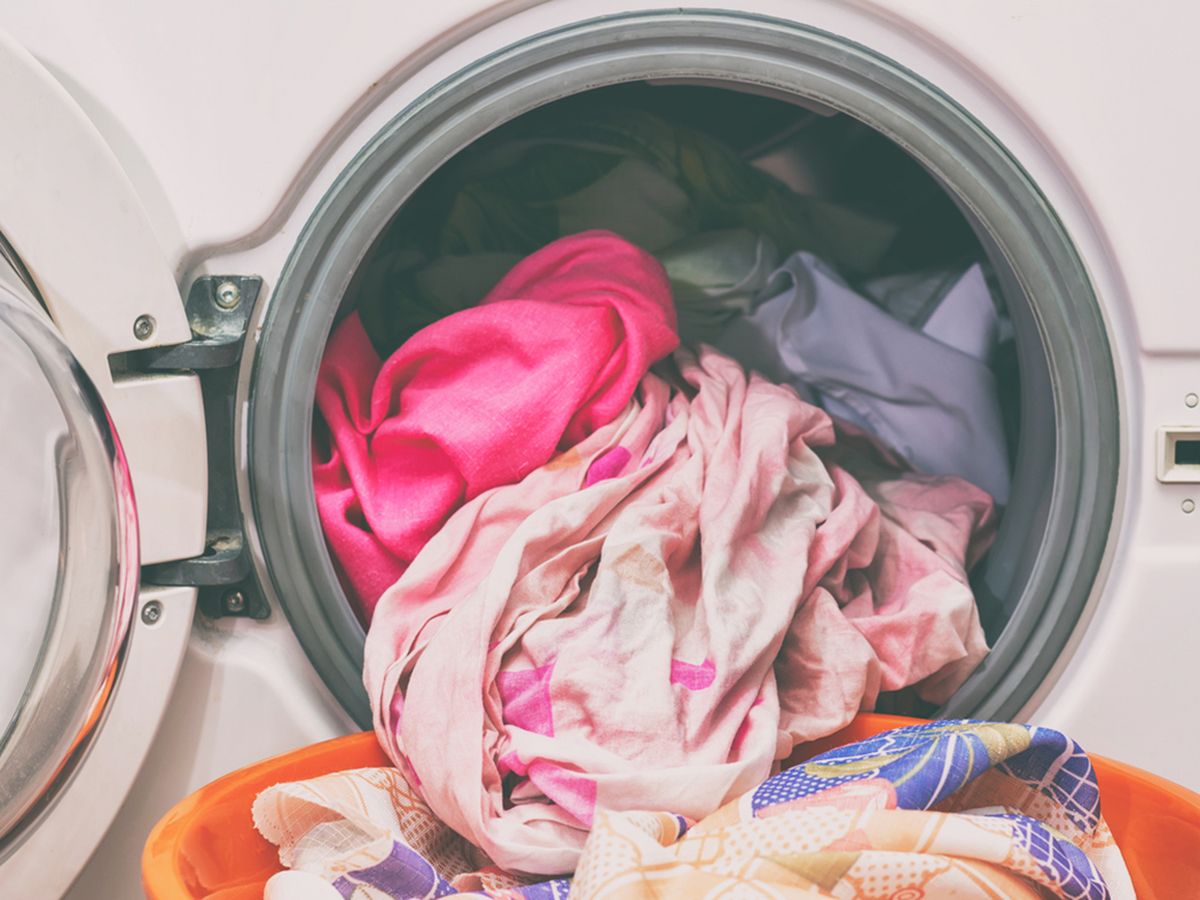 can bacteria survive in the washing machine