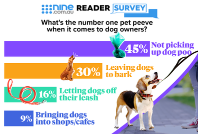 Pet owners reveal pet peeve in exclusive Nine poll.