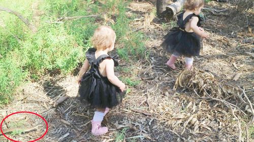 Victorian mum accidentally snaps moment bushwalk turned sinister