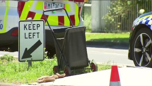 Footage from the scene shows a shopping cart thown onto the median strip. 