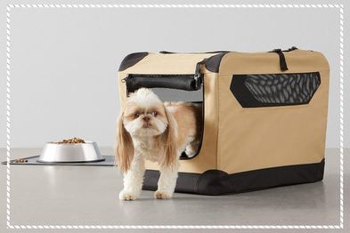 9PR: Amazon Basics Portable Folding Soft Dog Travel Crate Kennel