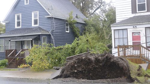 Fallen trees lean against a house in Sydney, N.S. as post tropical storm Fiona continues to batter the Maritimes on Saturday, Sept. 24, 2022.  (Vaughan Merchant /The Canadian Press via AP)