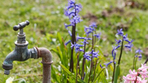 Thief shuts off water and steals garden taps from 29 homes