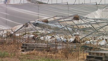 Heidi Steffen&#x27;s farm is one of about 35 impacted by a freak tornado-like storm that tore through the region on Friday afternoon.The severe weather has left a tangled mess of metal and greenhouse roofing near the family&#x27;s eggplant crop.