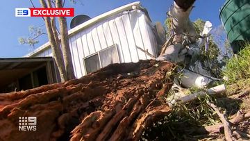 The town of Bucca, west of Bundaberg has been hit by severe storms and a suspected tornado last night, rattling the community. 