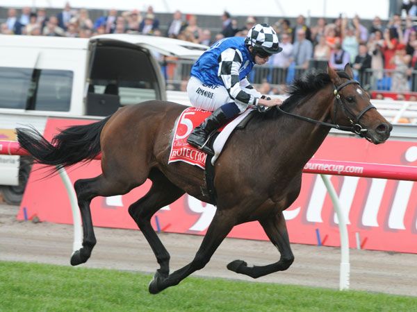 Protectionist winning last year's Melbourne Cup. (AAP)
