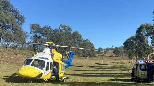 Man critical after cow attack on Gympie property