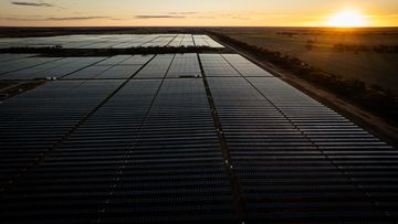 Solar farm in Red Cliffs, Victoria.