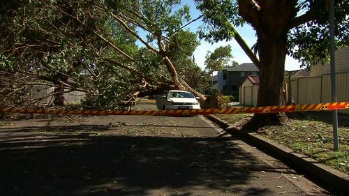 A total of 7700 properties are still without power. 