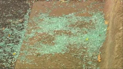 The alleged rock-throwing occurred at about 8.45pm yesterday.