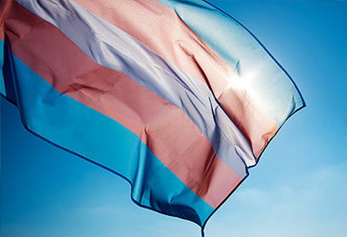 Transgender pride flag (Getty)