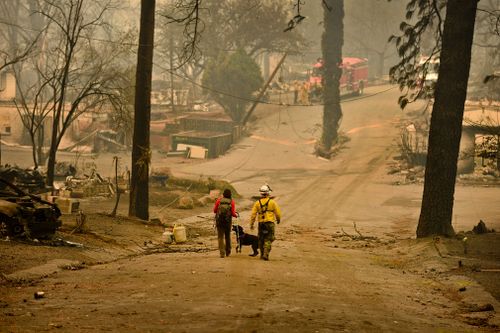 Butte County Search and Rescue worker Noelle Francis and search dog Spinner look through the ashes for survivors and remains at Skyway Villa Mobile Home and RV Park in Paradise