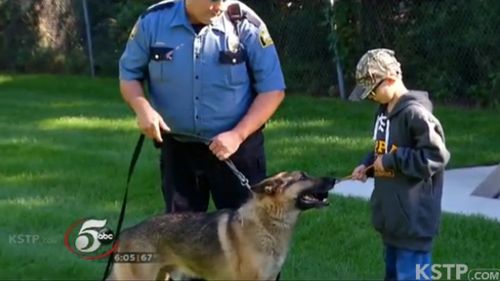 The vests for the dogs can cost up to $36,000. (Supplied)