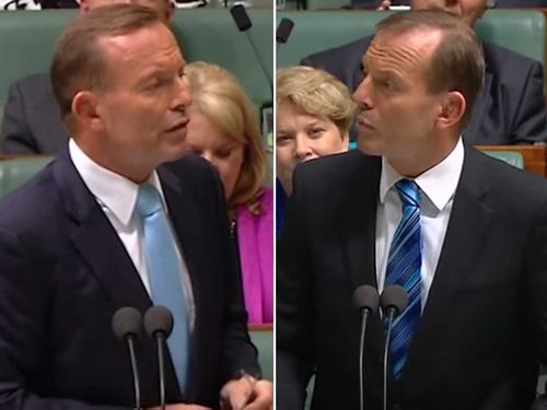 Tony Abbott takes on himself in this satirical video.