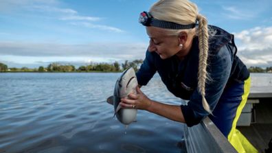 Amy Smoothey shark tackler