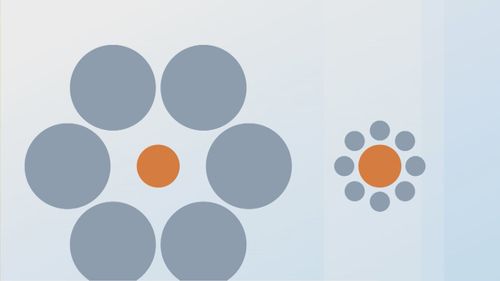 The two orange circles are the same size. 