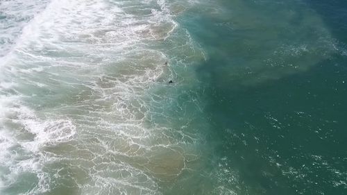 Gabe Vidler and Monty Greeslade, 17, became stuck in a rip at Lennox Beach before needing to be rescued today (Supplied).