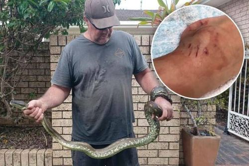 Five-year-old boy bitten and dragged into Byron Bay pool by python.